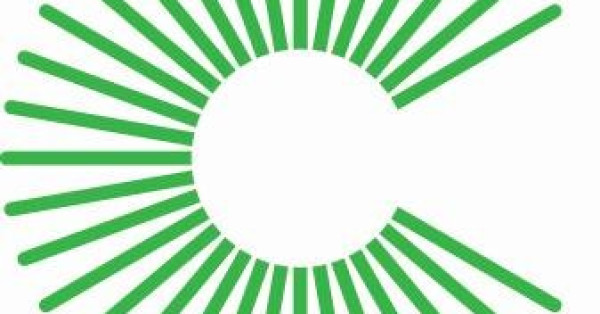 Wise to Serve on Panel for Capstone Suppliers