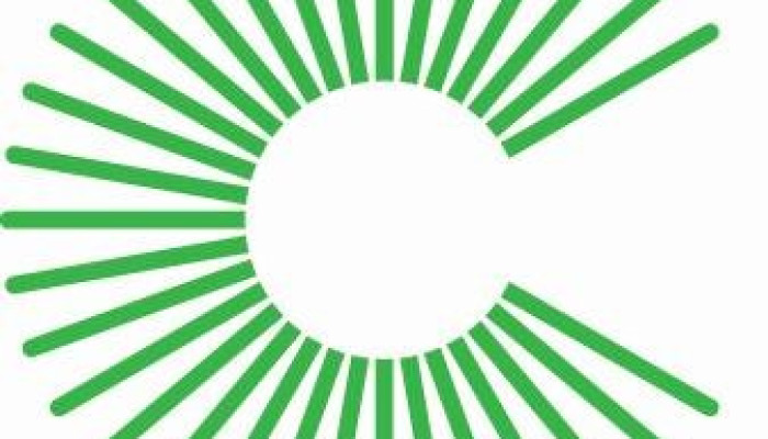 Wise to Serve on Panel for Capstone Suppliers