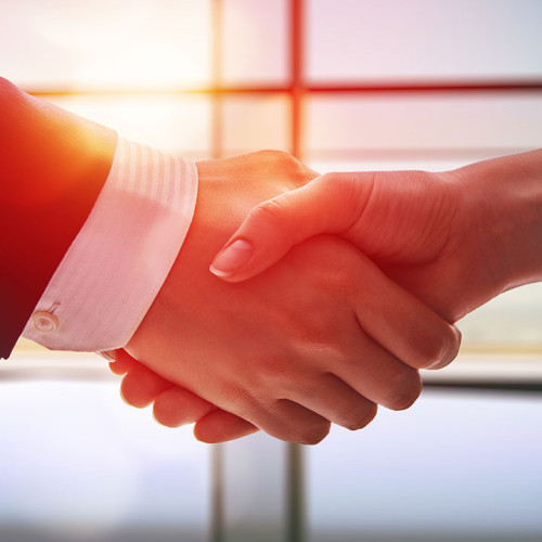 tl hand shake